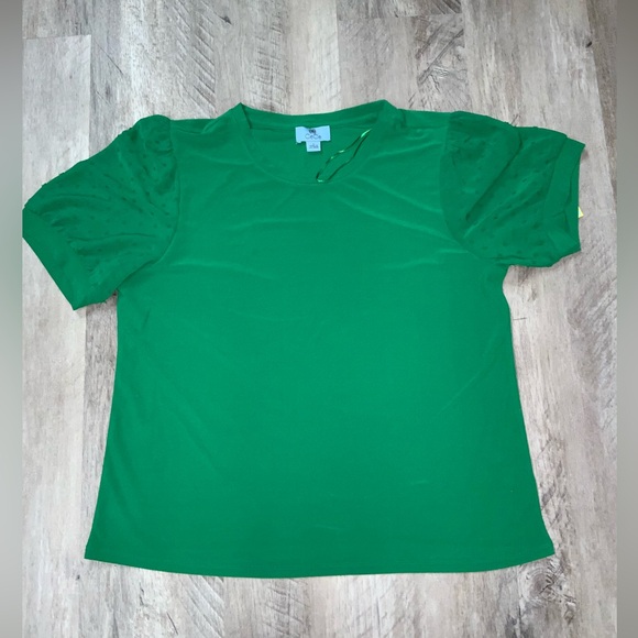 (Bin 27)  CeCe, puff sleeve w/ swiss dots, crewneck green blouse, Size L - Picture 1 of 5